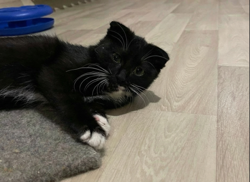 У меня теперь столько Новых годов впереди в своём доме