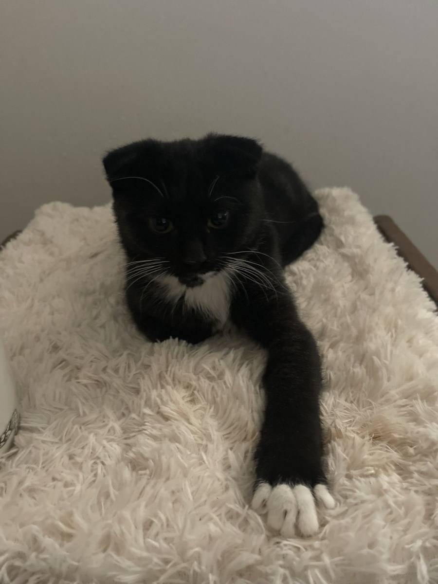 История чудесная благодаря хорошим людям