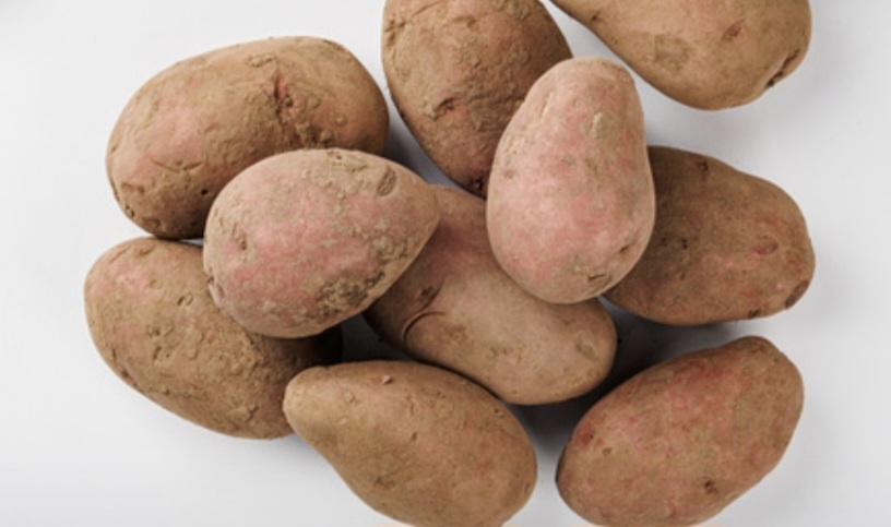 Фото из свободного доступа в интернете