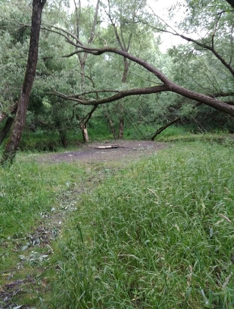 Фото из общего доступа в интернете