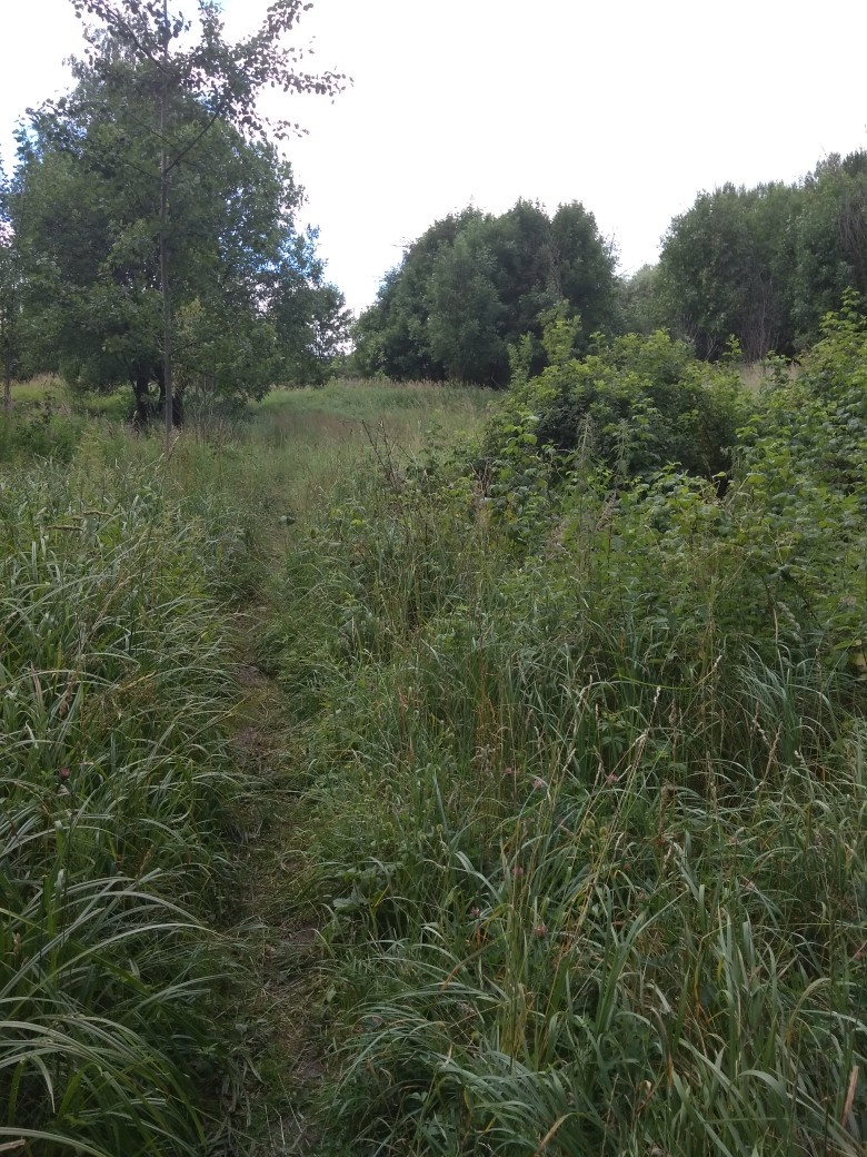 Фото из общего доступа в интернете