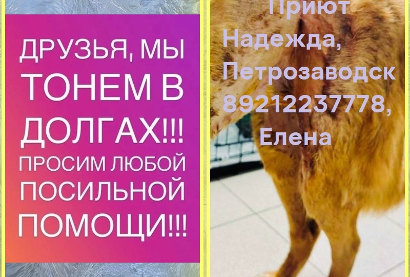 Тася. Продолжаем бороться за ее жизнь!