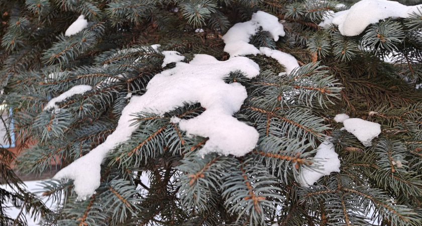    Первый городской канал Калининград