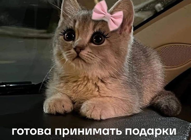 Как получать всё легко и быстро?😍