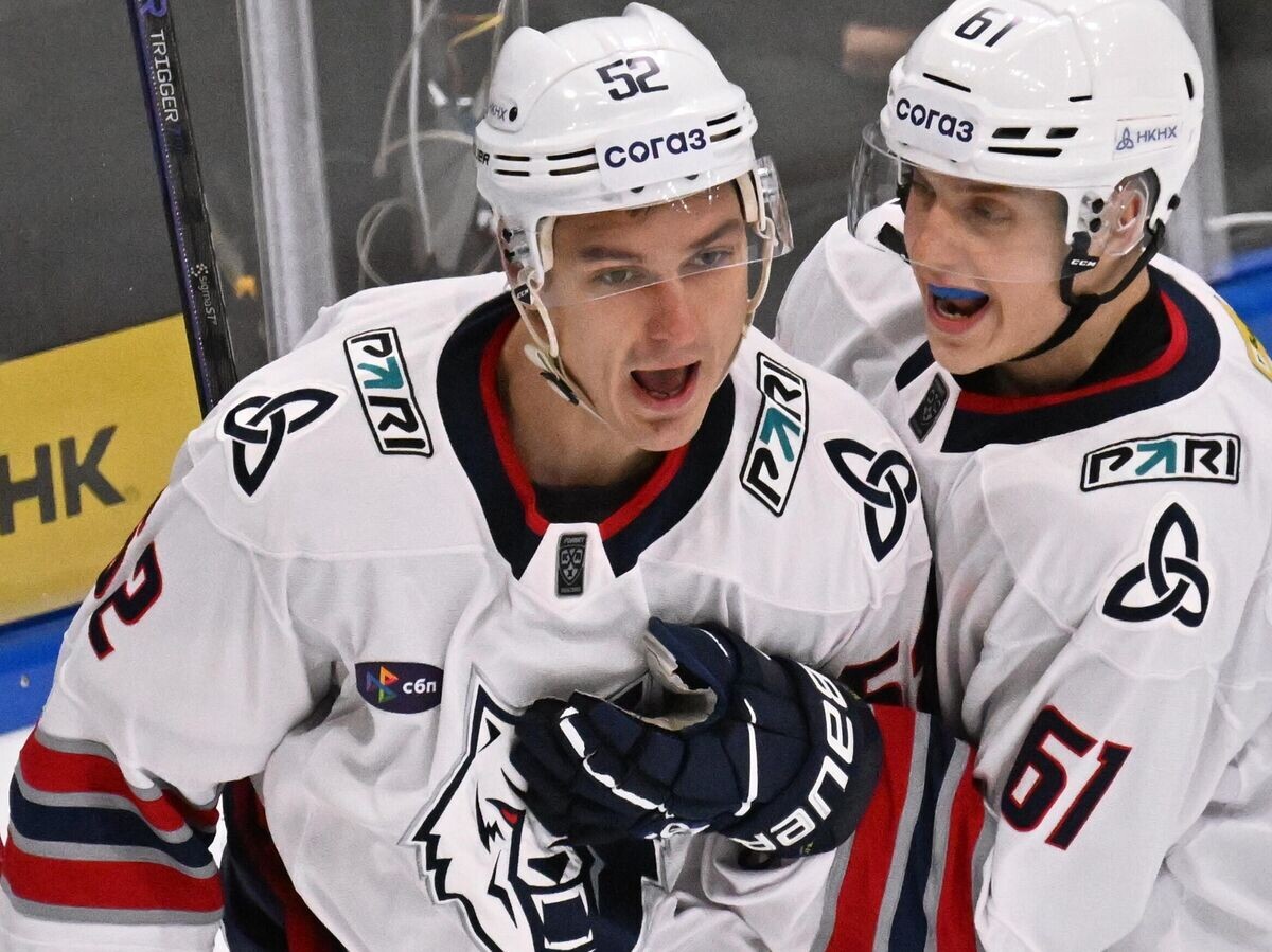    Хоккей. КХЛ. Матч "Динамо М" - "Нефтехимик" | © РИА Новости / Владимир Федоренко