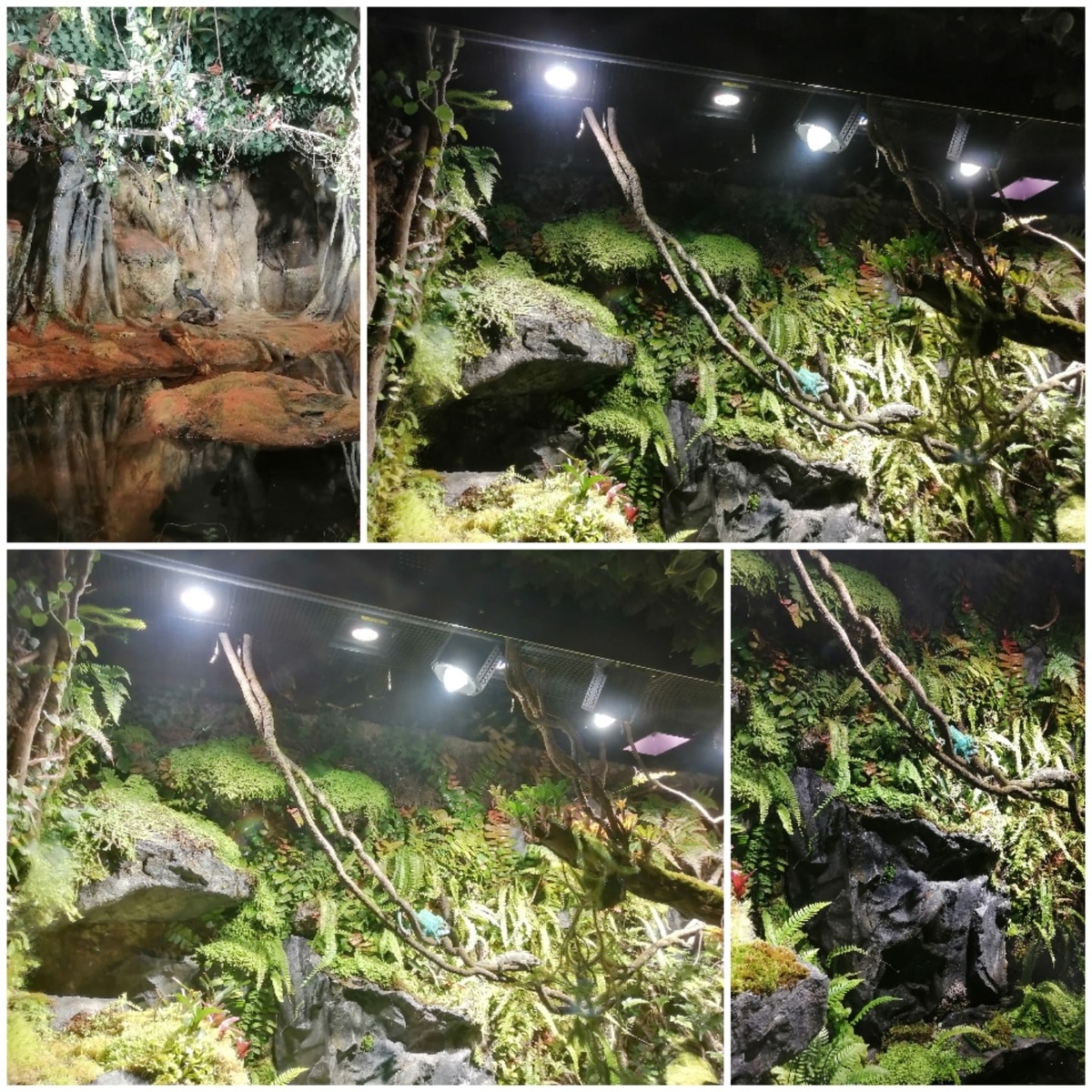 И удивительный подводный предстал перед глазами. 