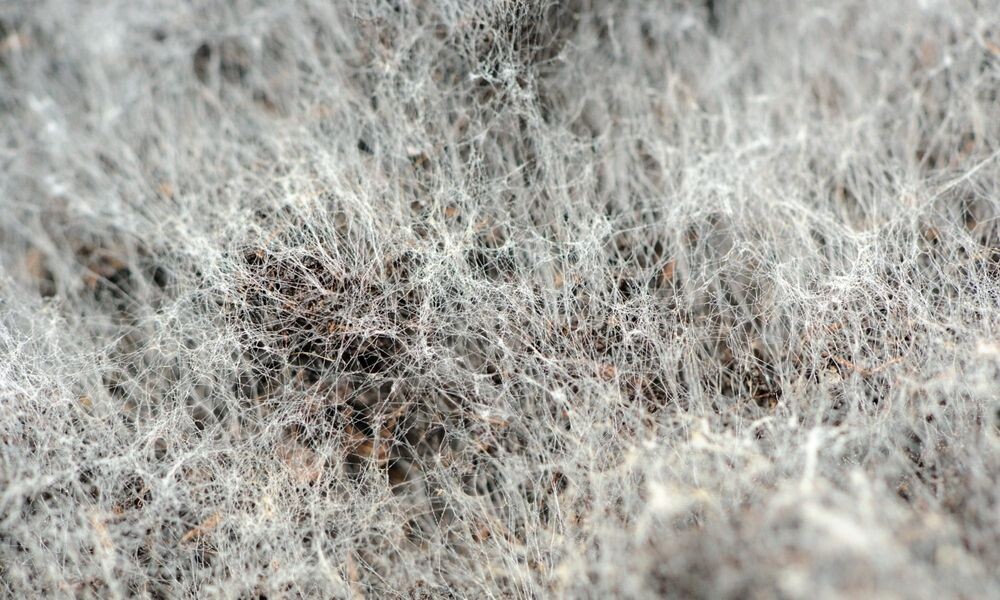 картинка взята из интернета