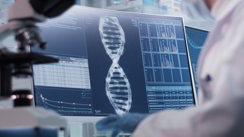    Shutterstock/FOTODOM