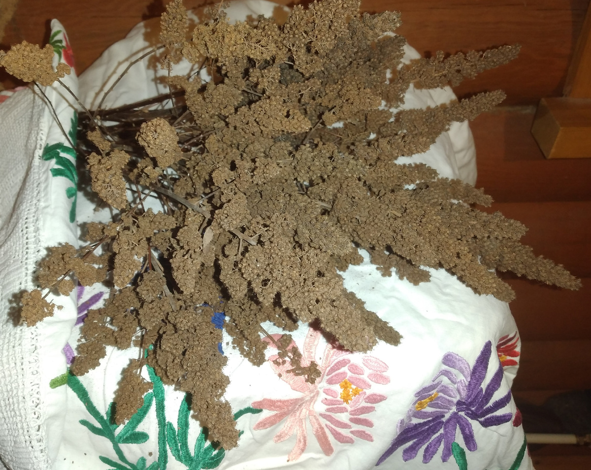 фото автора (Бережная память о времени, когда было много тепла и света).