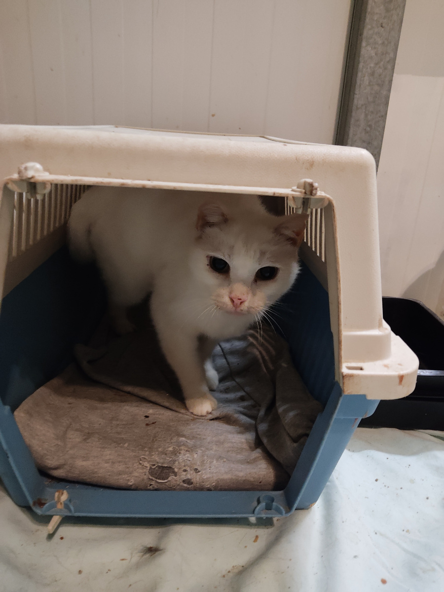 Синди открыла шлюз.