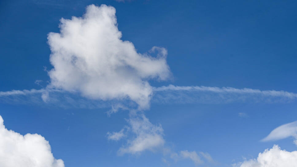 Фото: Олег Харсеев / Коммерсантъ