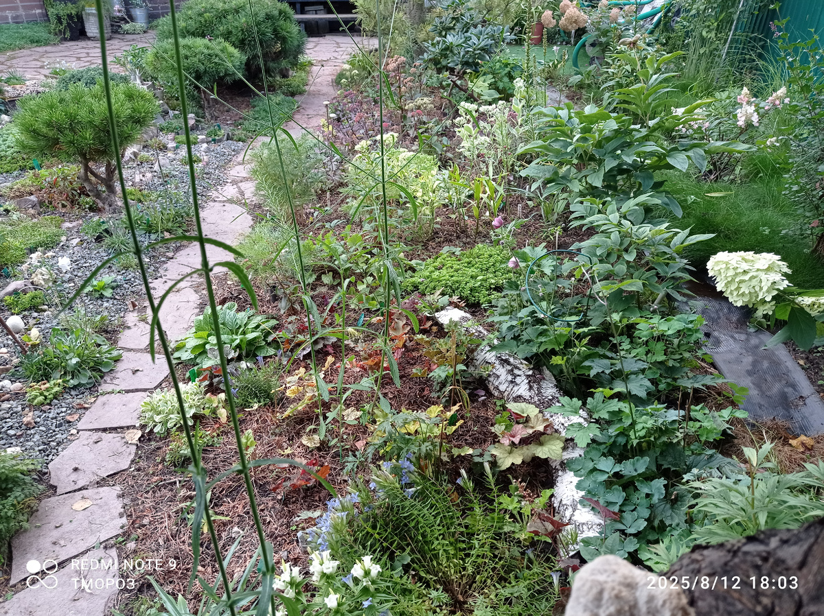 С другой стороны