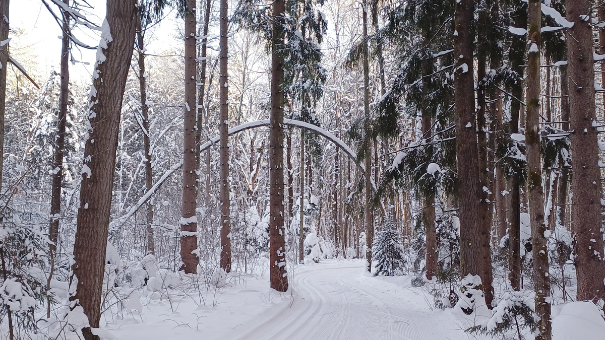 Фото Татьяны Федотовой.