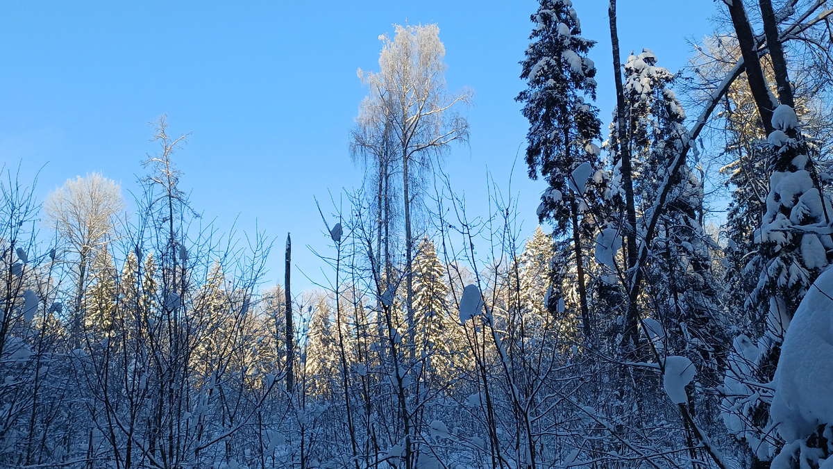 Фото Татьяны Федотовой.