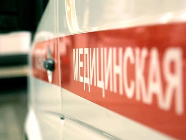    Фото: портал мэра и правительства Москвы/Роман Васильев
