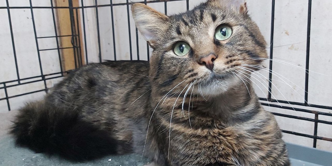 Время, наполненное любовью