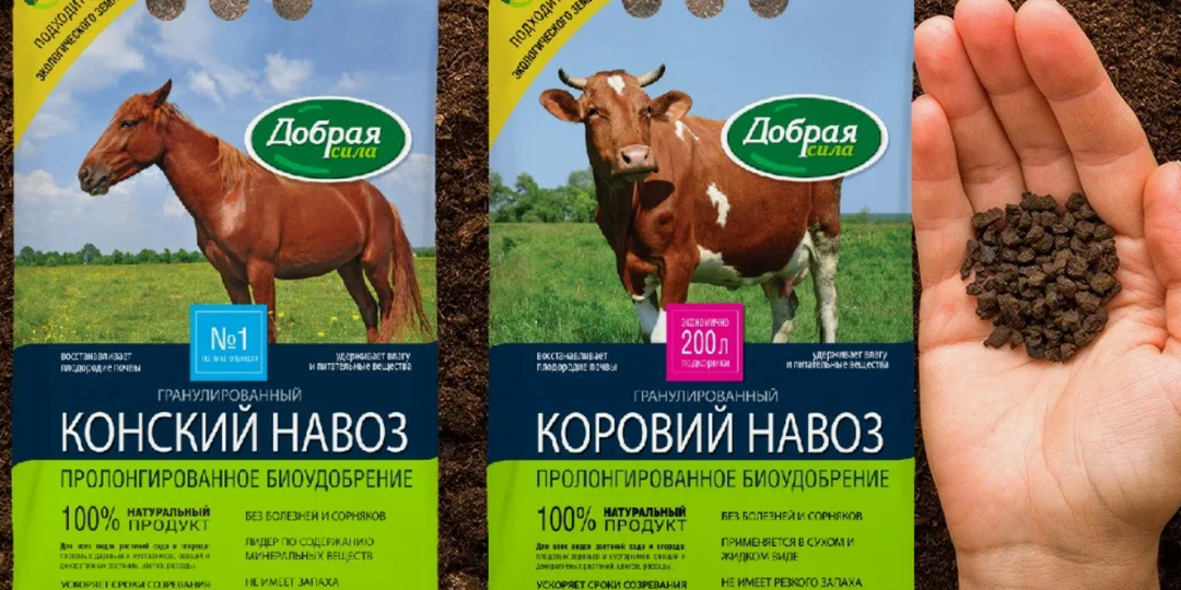 Конский или коровий навоз? В чем разница для сада и огорода