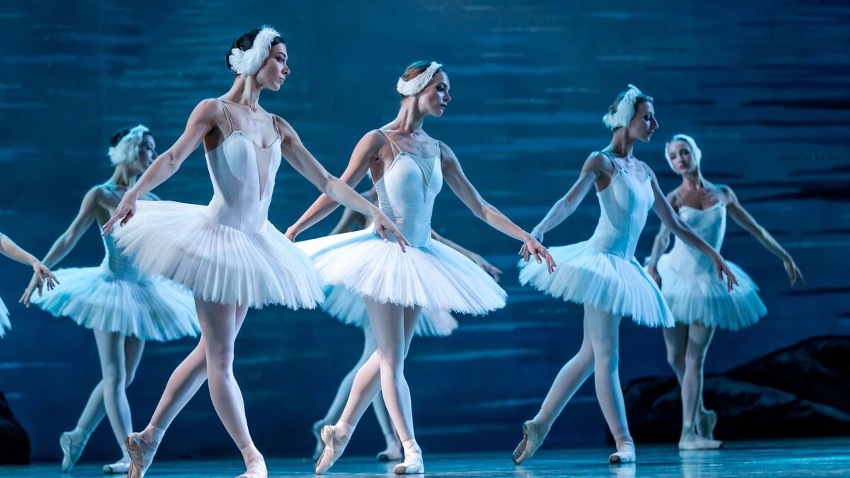    Фото: A_Lesik/Shutterstock/Fotodom