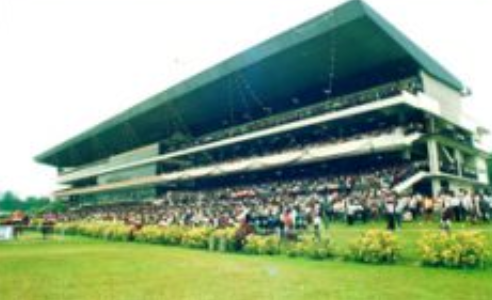 Кадр из передачи про скачки по телевизору в Малайзии