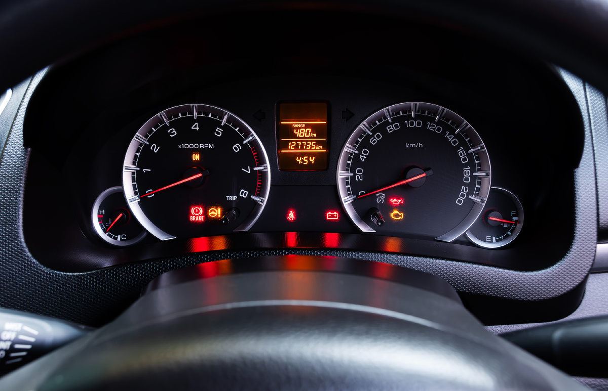 Фото: автор / Vecteezy