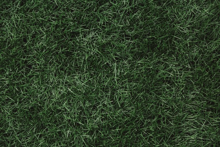    Фото: Общественная служба новостей Роман Котлов