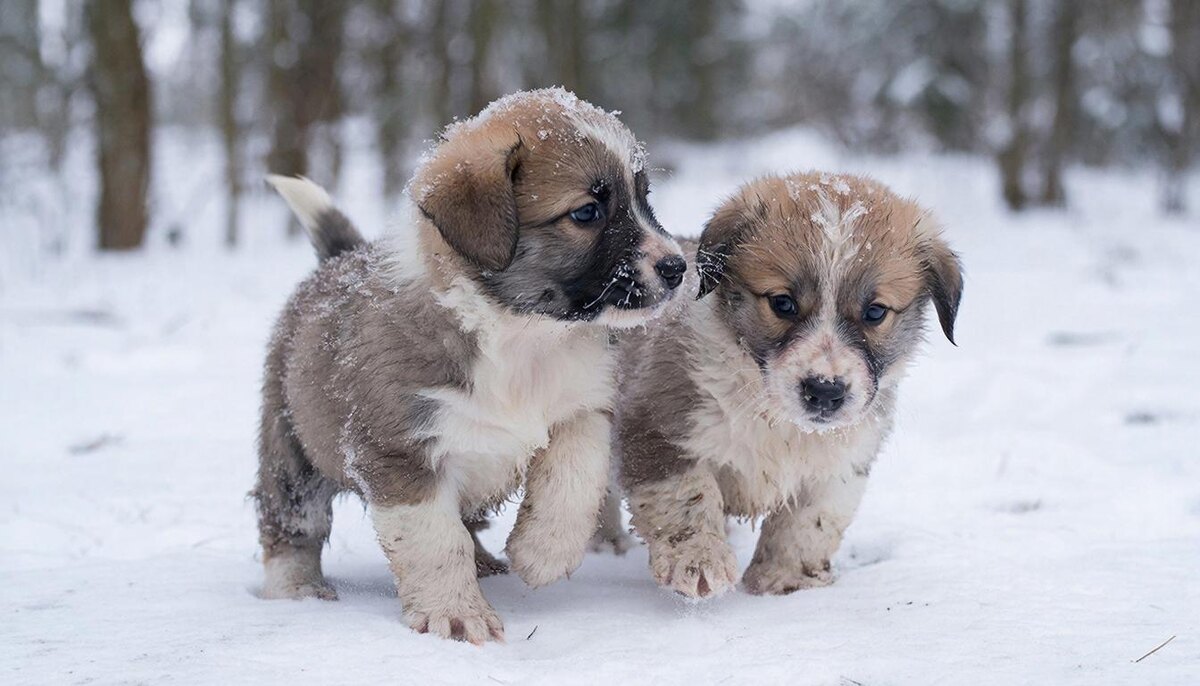 Фото: нейросеть. Малыши едва не погибли в ледяной воде.