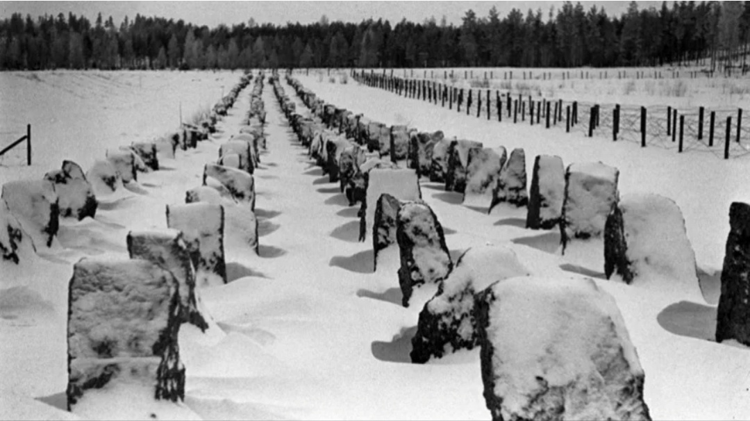 Зубы дракона. Гранитные надолбы Линии Маннергейма стали непреодолимым препятствием для легких советских танков