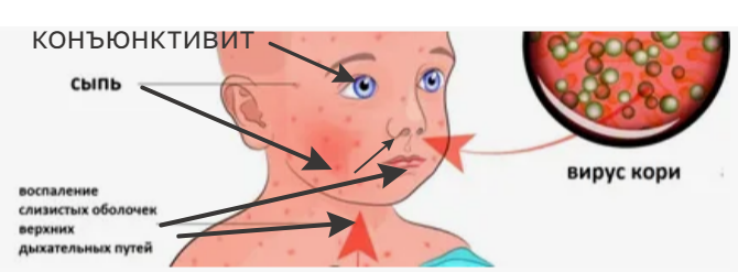 Яндекс.Картинки