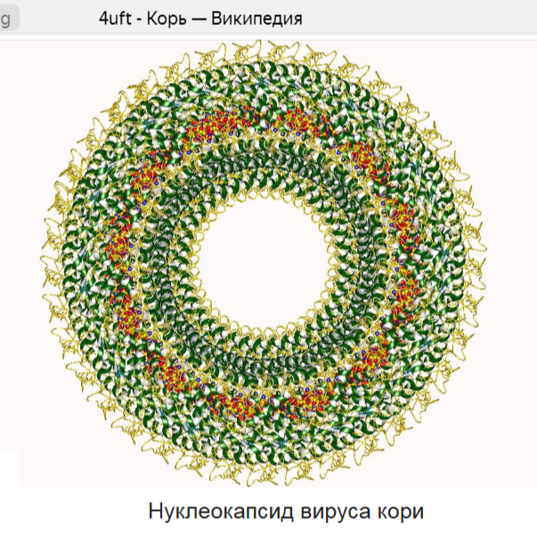 Скрин рисунка на странице Википедии