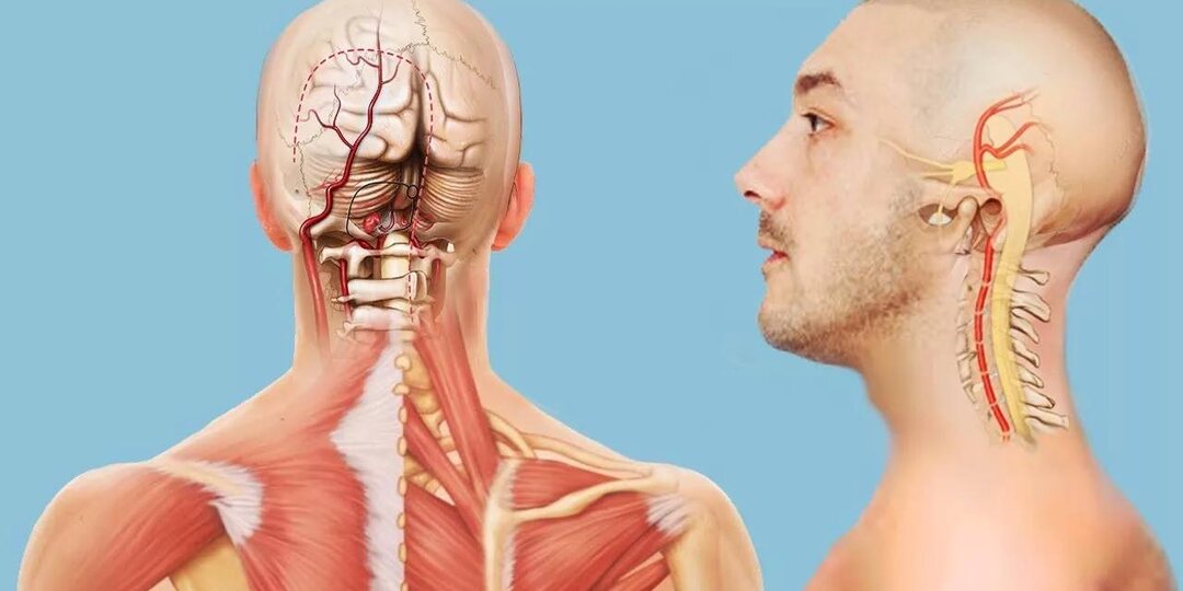 Головокружение при повороте головы: проблема может быть в шее