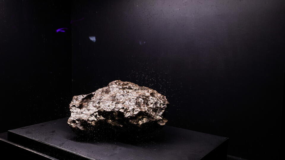     Ученые МГУ обнаружили следы жизни в метеорите возрастом более 4,6 млрд лет TERESA SUAREZ/AP/TASS