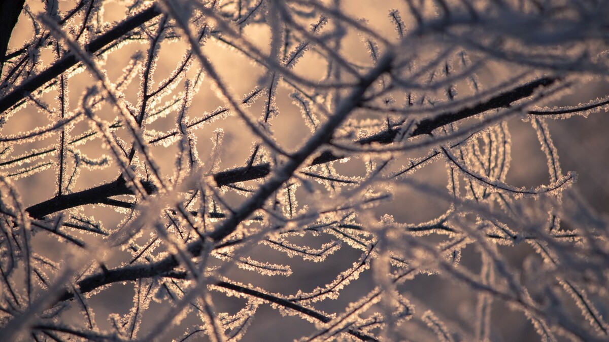     / Источник: Анна Рыжкова (с) ИА REGNUM