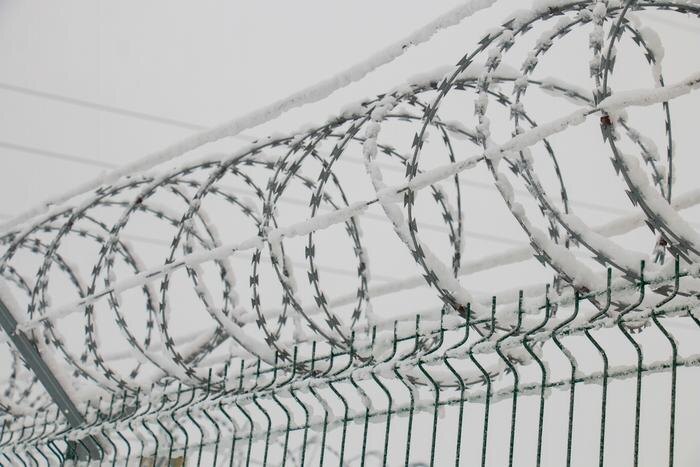 Обложка © Shutterstock / FOTODOM / Inga Gedrovicha