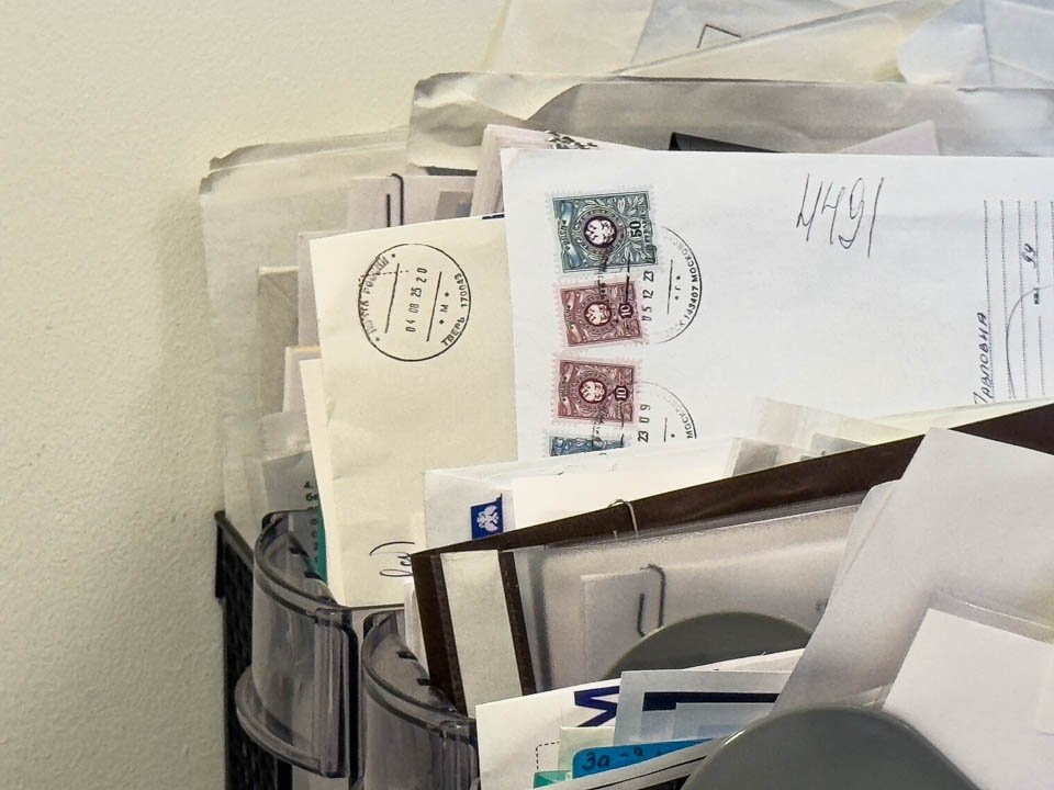    Фото: REGIONS/Владимир Ерастов