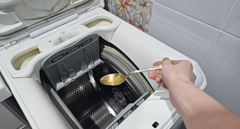    Фото progorod43.ru