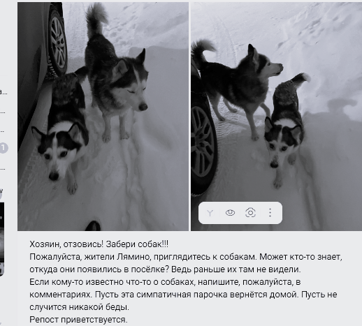 Пост в городском паблике в 2024 году