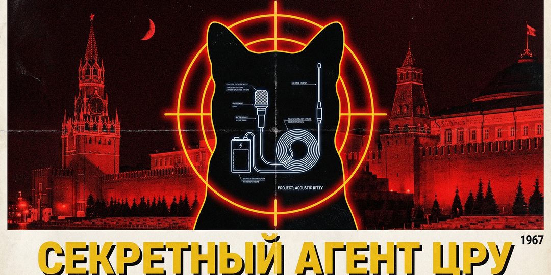 ЦРУ потратило 20 миллионов долларов на кота-шпиона. Его карьера закончилась под колесами такси через 5 минут