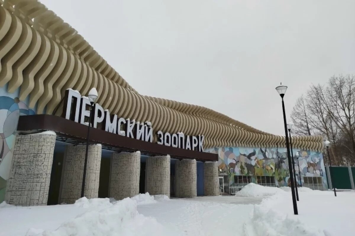    Афиша на 24, 25 января.