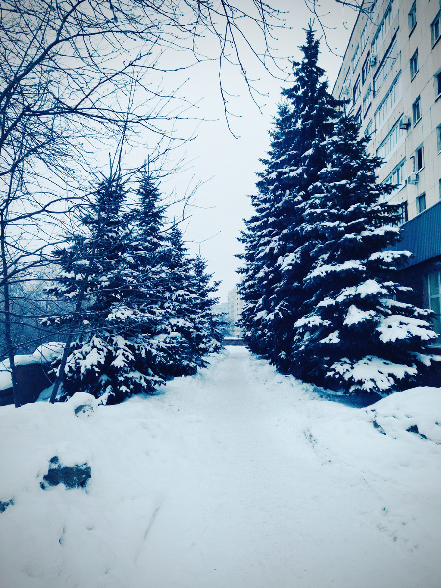 Фото автора