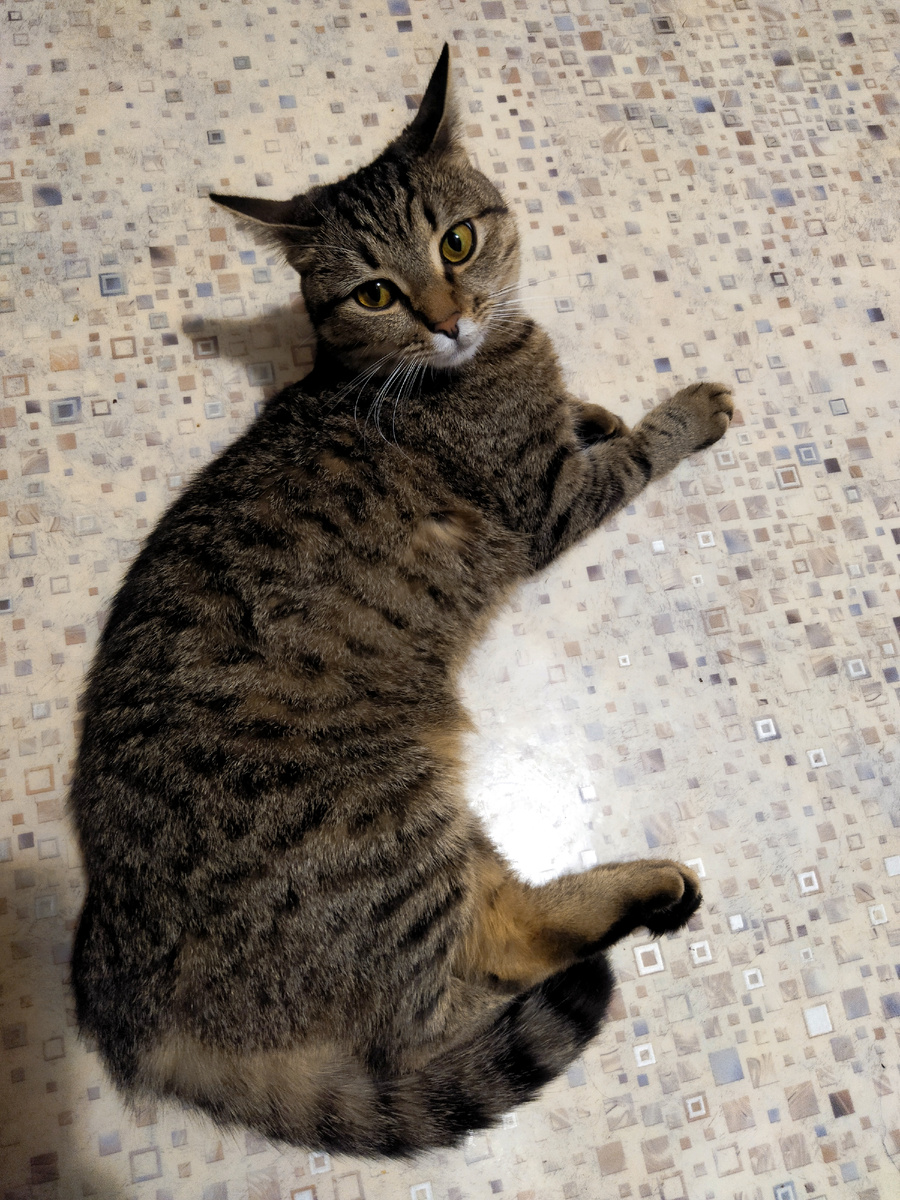 Фото автора