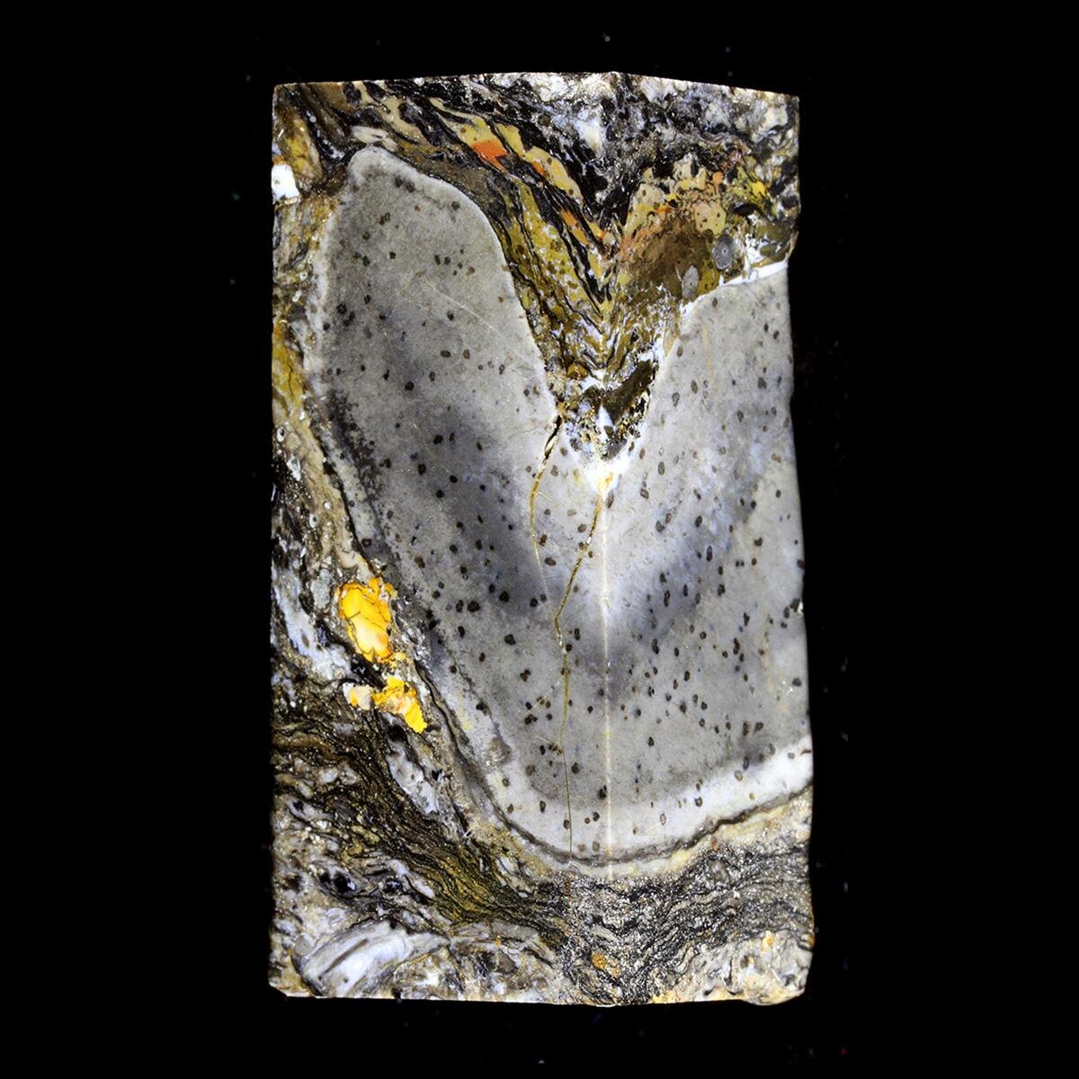 В этой богатой кремнезёмом породе сохранились мельчайшие детали древнего загадочного организма, известного как прототакситы, которые представлены здесь в виде сероватого пятна с черными крапинками, фото:Laura Cooper via University of Edinburgh