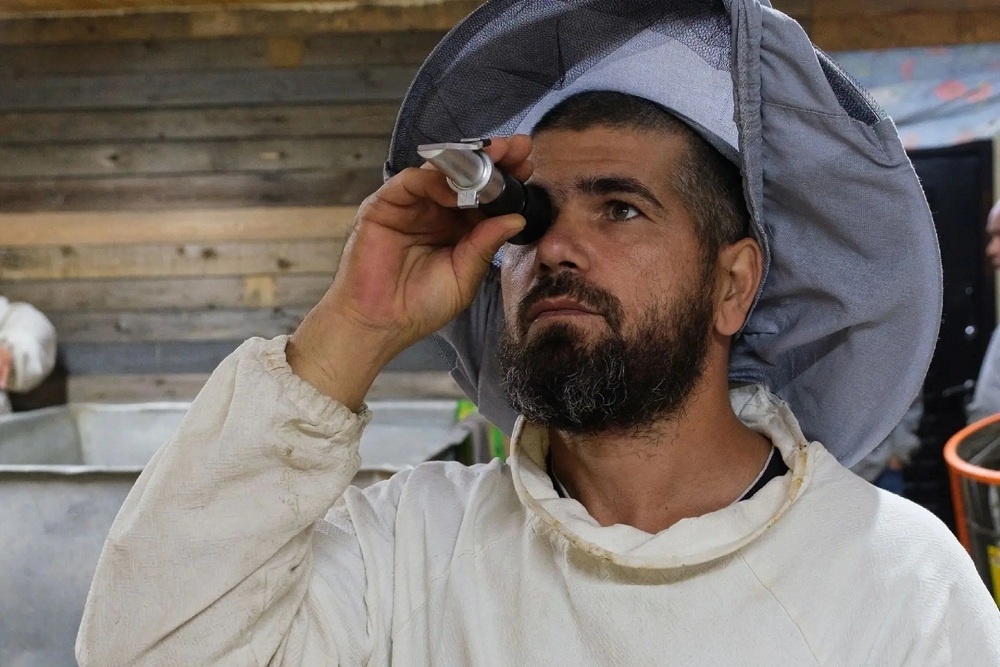    Контроль качества меда - важнейший этап, гарантирующий натуральность и безопасность продукта. / Из архива Дениса Борисова