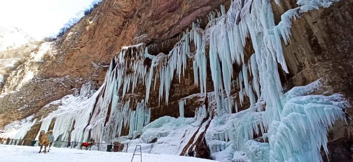 Фото с сайта Яндекс