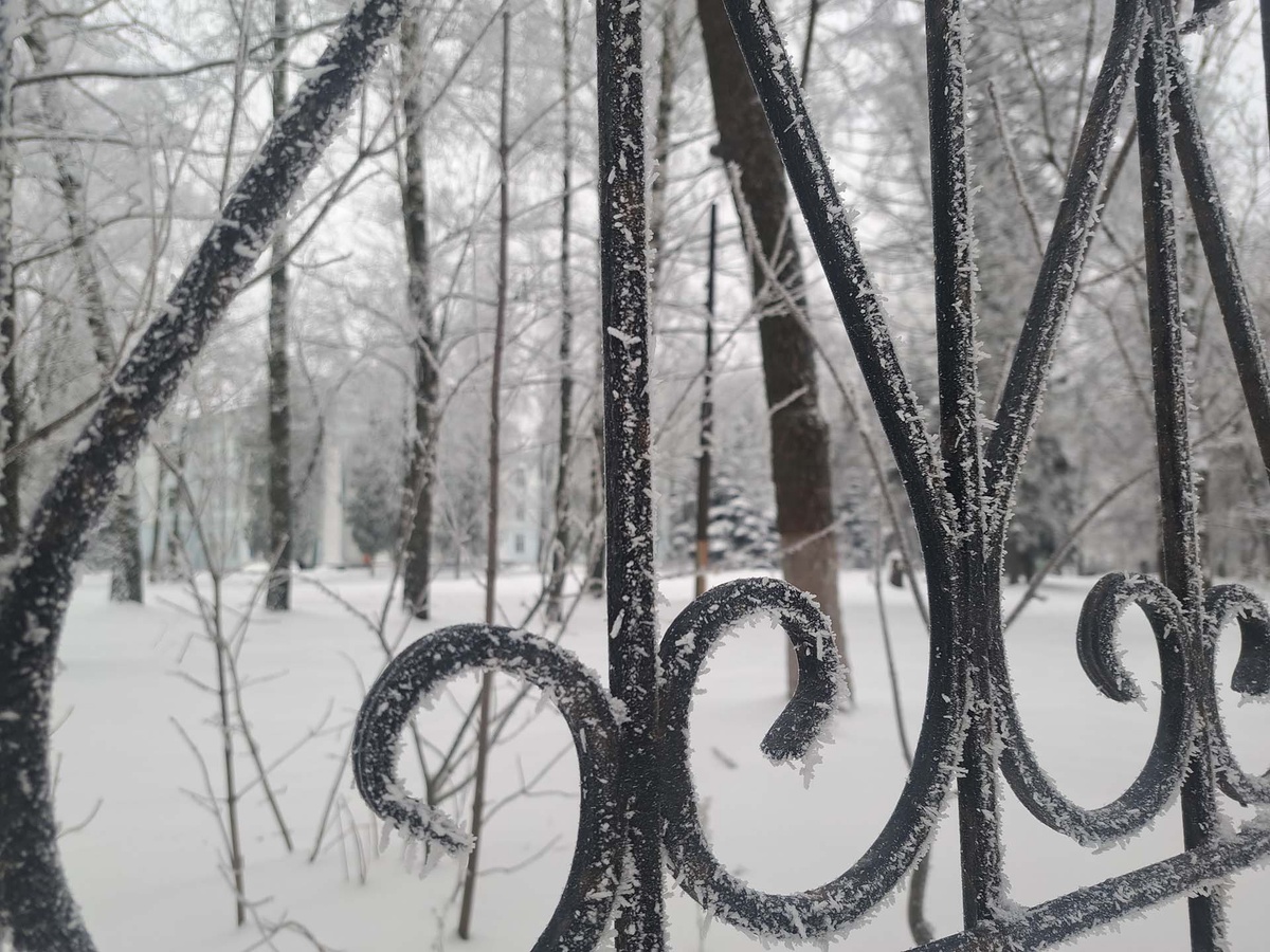 Потепления в Приморье ждать не раньше второй половины февраля, заявил метеоролог.  Фото: Фото: ФедералПресс / Вера Романескул