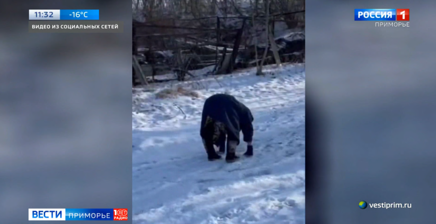    Источник фото: