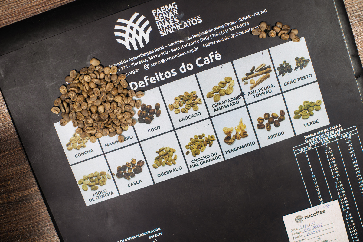 Классификатор кофейных дефектов