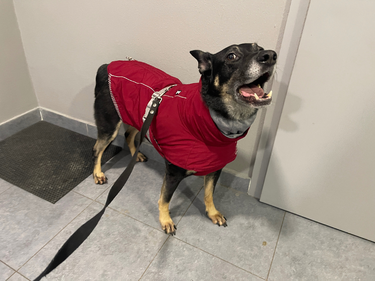 Последние несколько дней было особенно холодно, поэтому для меня эта часть прогулки самая актуальная 😅!