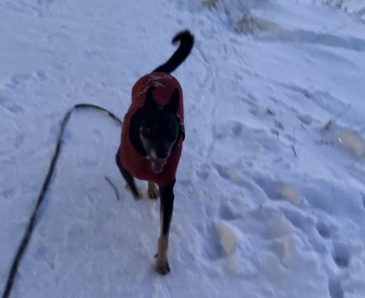 Это я вот так спешу домой 😁 Чего лишний раз на улице мерзнуть?