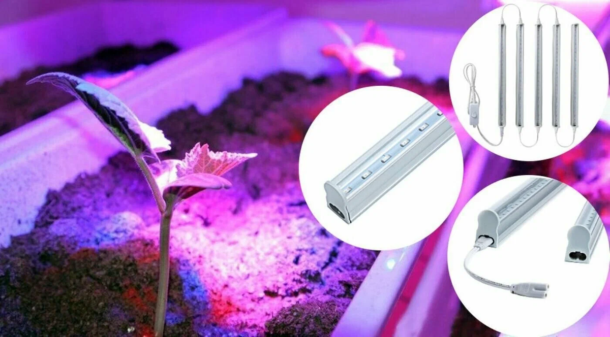 Яндекс. Картинки