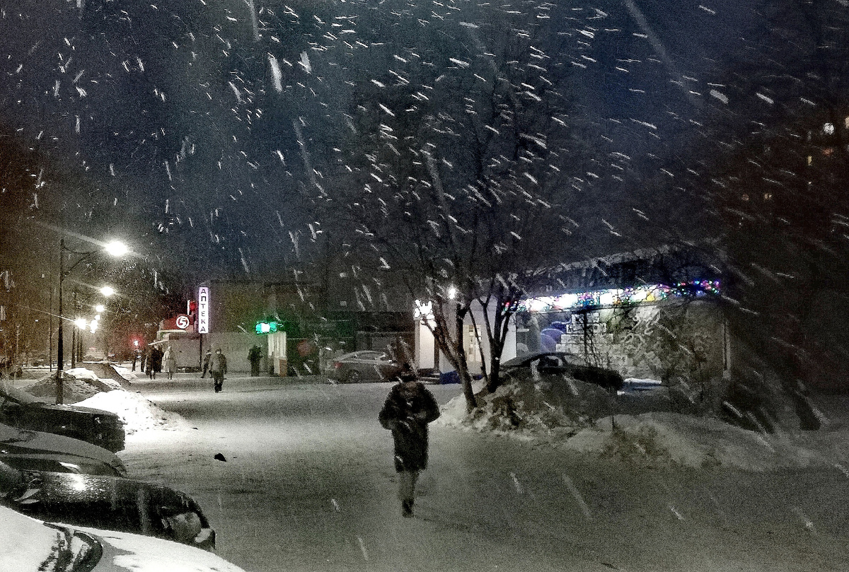 Фото автора от 22.01.26. Как у Александра Блока!!!